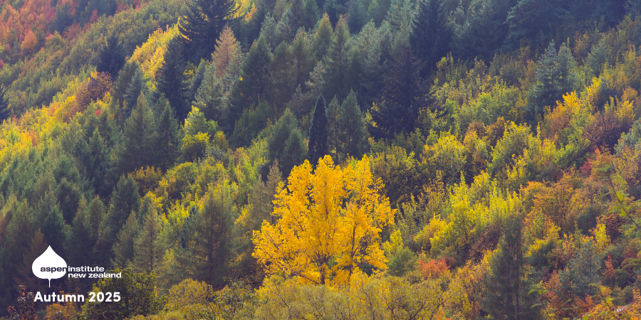 Lookout Header Autumn 2025